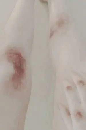 ปกนิยาย Unbinding me! ถอนคำสาปนี้ให้ผมที -Yaoi/BL-