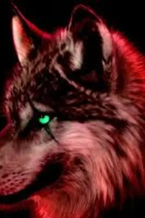 ปกนิยาย [Fic Exo ] Wolf~ [ Kristao Ft.all] [ Yaoi]