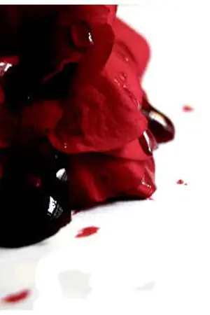 ปกนิยาย FicLieMe (GOT7) #BNior