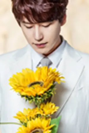 ปกนิยาย [KYUMIN] THE Petals : Sunflower ✿