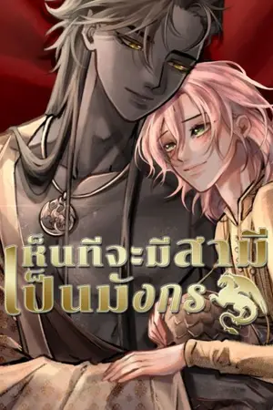ปกนิยาย