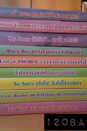 ปกนิยาย ขายนิยายแจ่มใส