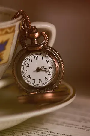 ปกนิยาย Time Traveler  ข้ามเวลามาพบรัก [KyuMin]