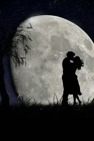 ปกนิยาย เธอในฝัน "He is my dream."