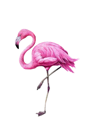 ปกนิยาย I write, therefore I am