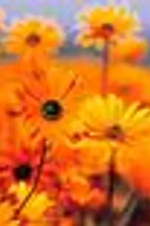 ปกนิยาย เงาซ่อนรัก