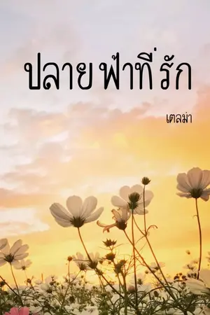 ปกนิยาย ปลายฟ้าที่รัก