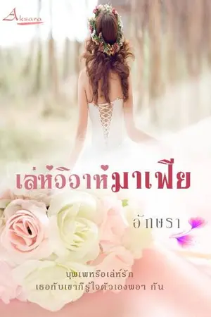 ปกนิยาย