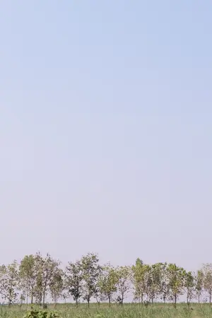 ปกนิยาย ArtsxEcon: On and on #เต้ยอิงค์เรื่อยๆ [Yaoi]