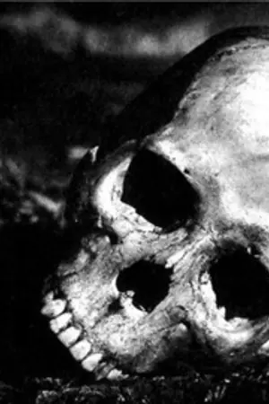 ปกนิยาย [Suicide - Game] {เกม - ฆ่าตัวตาย}