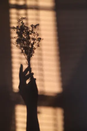 ปกนิยาย (OS) FLOWER DANCE (JUNDONG)