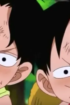 ปกนิยาย [Fic One piece] : Little duck [Ace+Luffy (+ASL)]