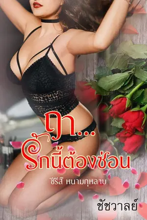 ปกนิยาย ฤา... รักนี้ต้องซ่อน(มี e-book)