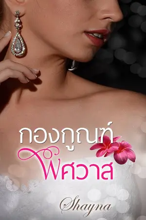 ปกนิยาย