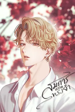 ปกนิยาย สมการความทรงจำ