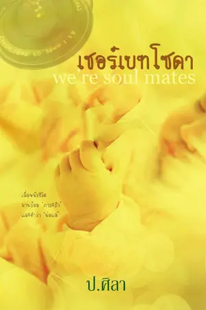 ปกนิยาย เชอร์เบทโซดา we're soul mates  Re - Up