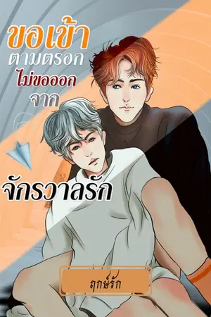 ปกนิยาย ขอเข้าตามตรอก ไม่ขอออกจากจักรวาลรัก
