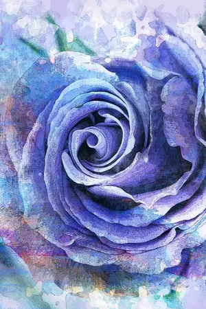 ปกนิยาย Sapphire Blue Rosetta เล่ห์รักกุหลาบสีน้ำเงิน[BL]