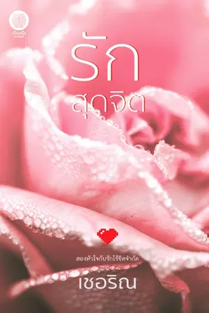 ปกนิยาย