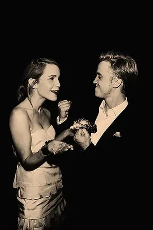 ปกนิยาย [Draco x Hermione] Love essence