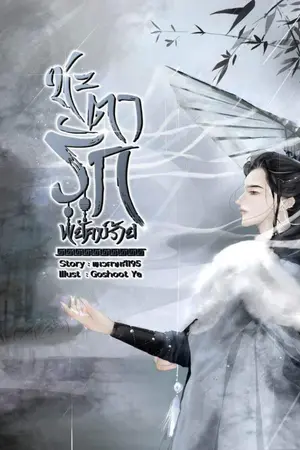 ปกนิยาย