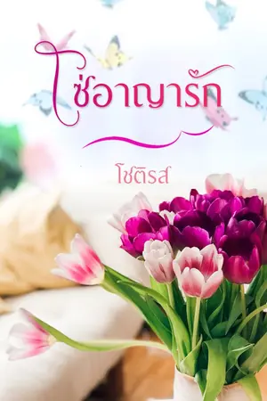 ปกนิยาย