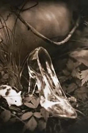 ปกนิยาย Cinderella the Bomber: ซินเดอเรลล่า มือวางระเบิด