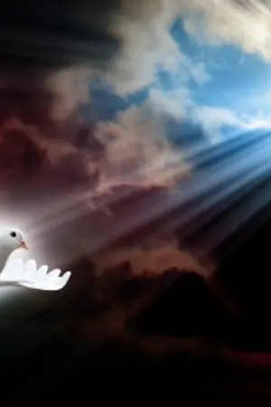 ปกนิยาย This Is War: สงครามล้างมนุษย์