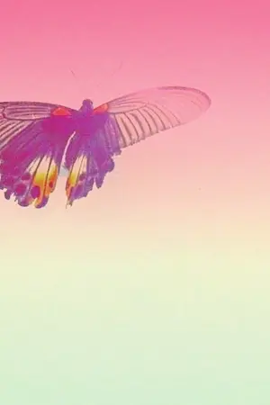 ปกนิยาย BTS {gakook} ⋆*✩ Like a butterfly ᵋᵌ #bluegakook