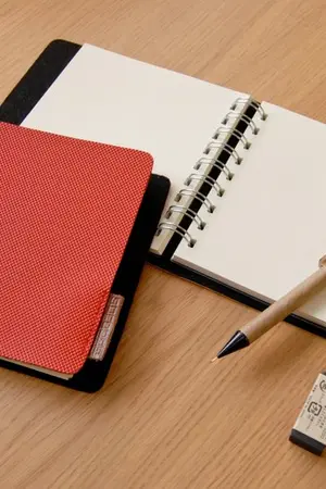 ปกนิยาย จนกว่าจะหายไป