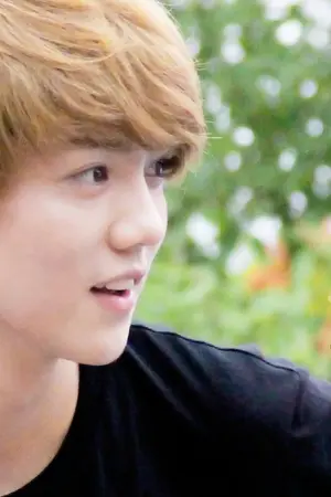 ปกนิยาย [OS EXO] Then Again (HunHan)