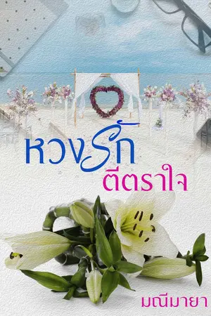 ปกนิยาย