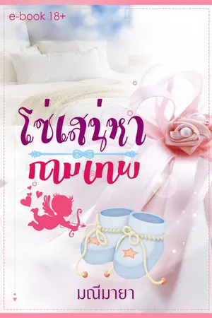 ปกนิยาย