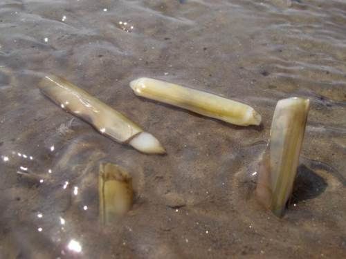 ที่มาภาพ : https://www.thairath.co.th/content/279520