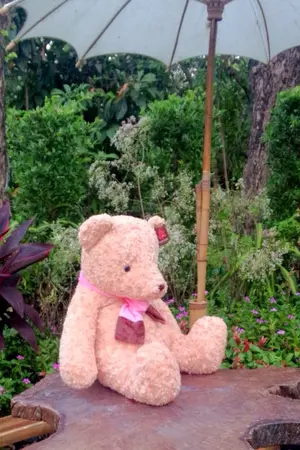 ปกนิยาย สุดสิเน่หา