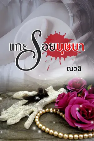 ปกนิยาย แกะรอยบุษบา