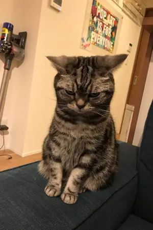 ปกนิยาย 321!!clockwise ชุลมุนวุ่นใจรักนายที่สุด