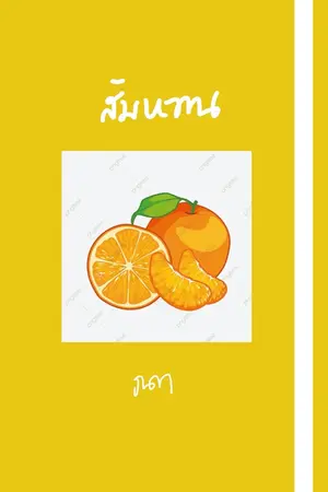 ปกนิยาย