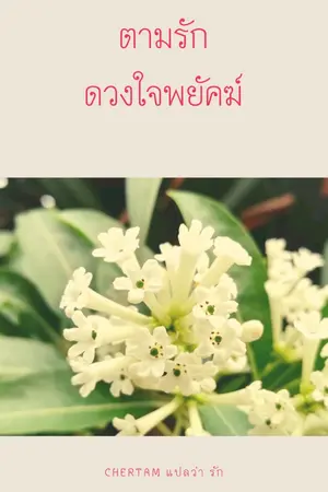 ปกนิยาย ตามรักดวงใจพยัคฆ์