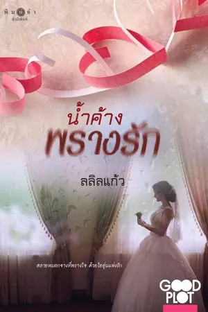 ปกนิยาย