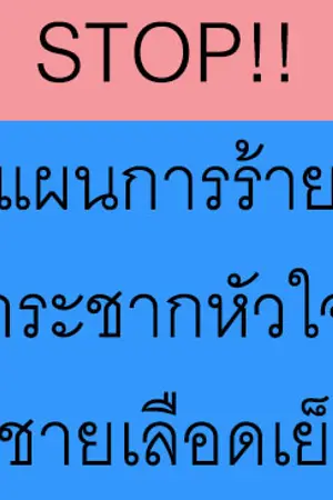 ปกนิยาย