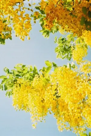 ปกนิยาย Baby, Me & Brother next-door (Yaoi)