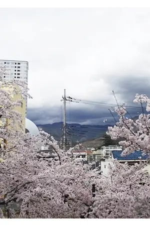 ปกนิยาย [ Fic Touken Ranbu ] สรุปว่ารักเธอทุกวัน