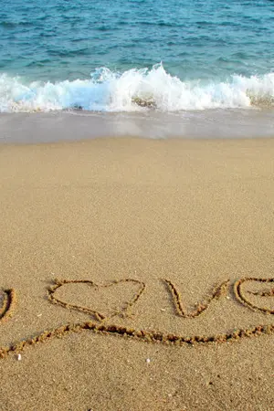 ปกนิยาย ลิขิตรัก หัวใจเถื่อน