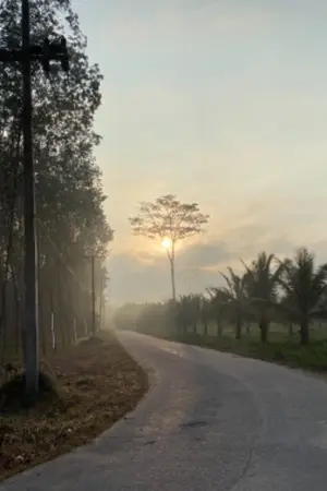 ปกนิยาย การเดินทางสีจาง