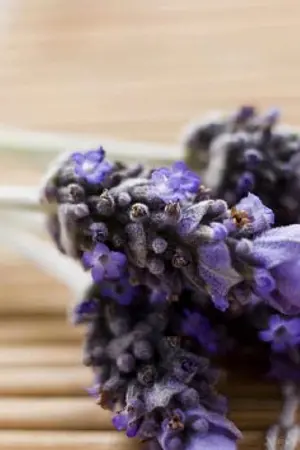 ปกนิยาย เลี้ยวต่อไปคือเธอใช่ไหม...?