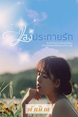 ปกนิยาย แสงประกายรัก