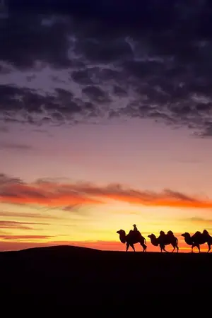 ปกนิยาย บ่วงรักหัวใจต้องมนตร์