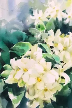 ปกนิยาย เพรงบุษบัน