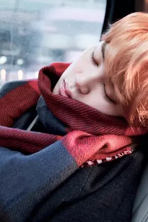 ปกนิยาย OS/SF  Jimin 《kookmin, vmin,yoonmin》